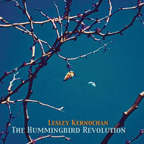 Lesley Kernochan - The Hummingbird Revolution Cover