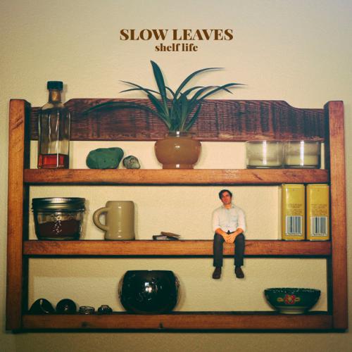 Slow Leaves - Shelf Life Cover